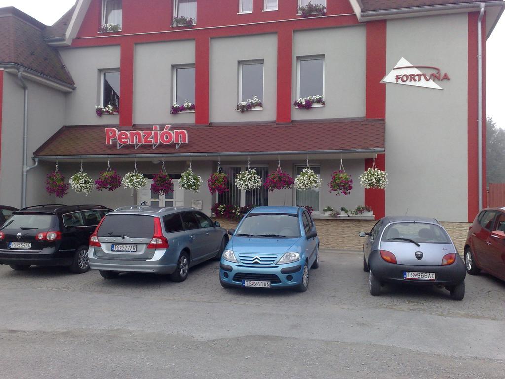 Guest House Penzion Fortuna 트브르도신 외부 사진